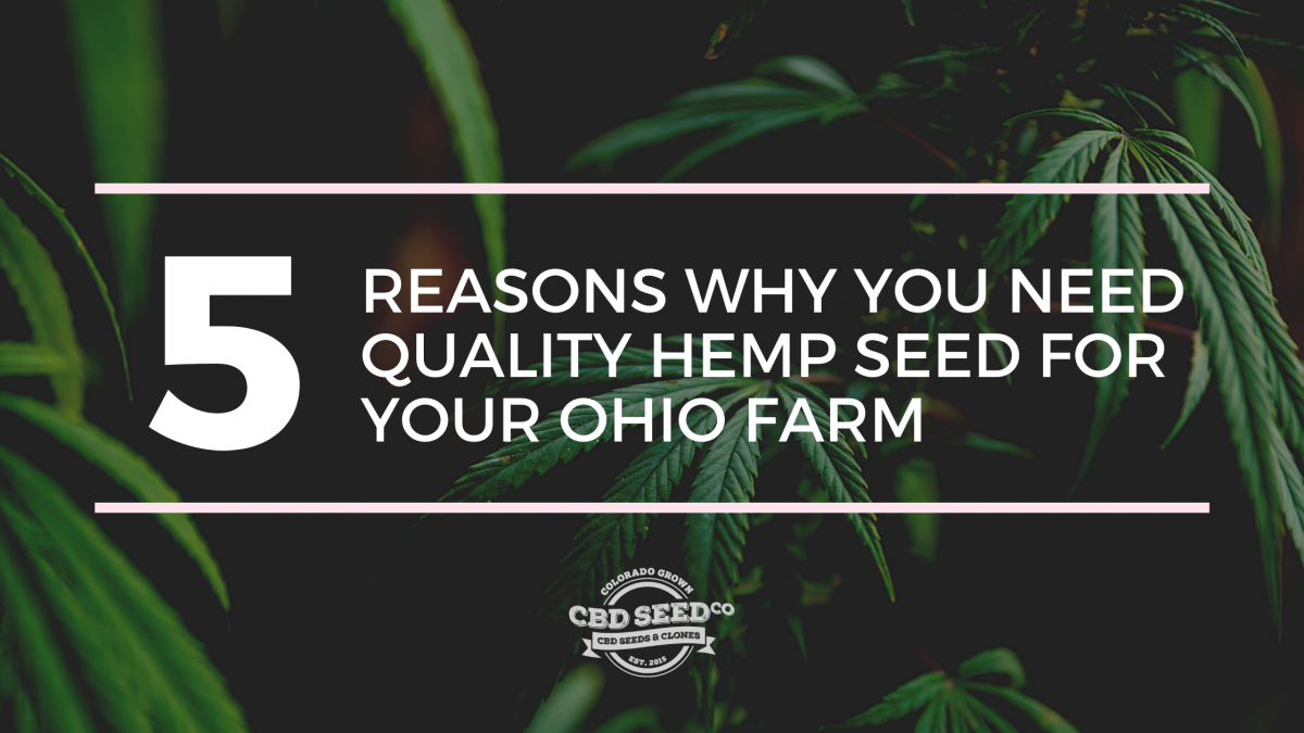 quality hemp seed ohio farm