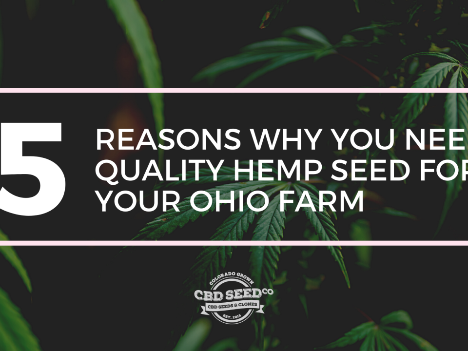 quality hemp seed ohio farm