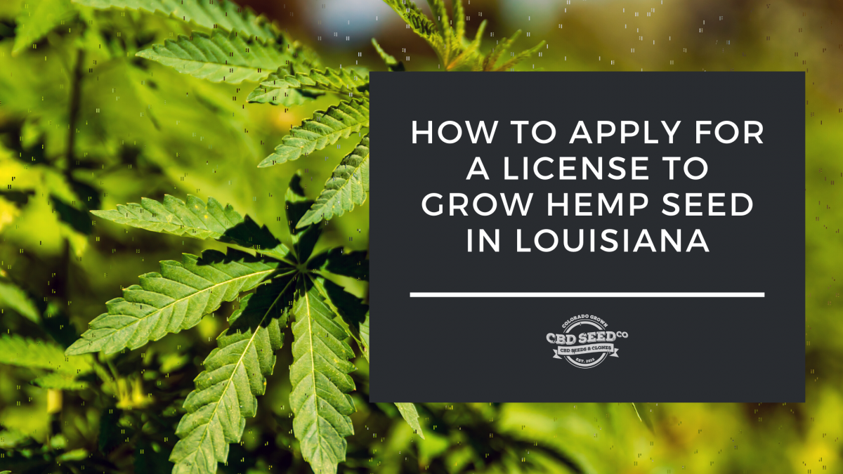 apply license grow hemp louisiana