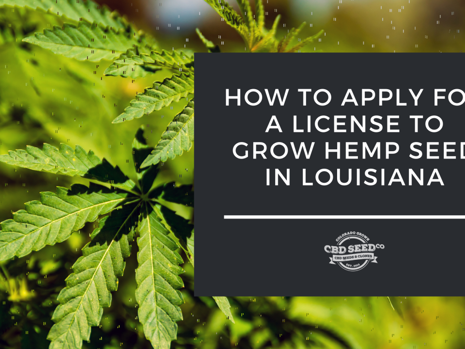 apply license grow hemp louisiana