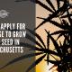 apply license grow hemp seed massachusetts