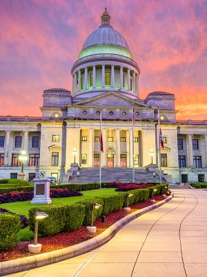 arkansas-skyline-cbd-seed-co arkansas-skyline-cbd-seed-co