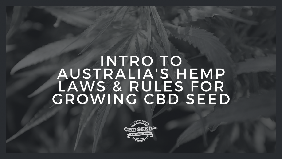 australia hemp laws rules growing cbd seed