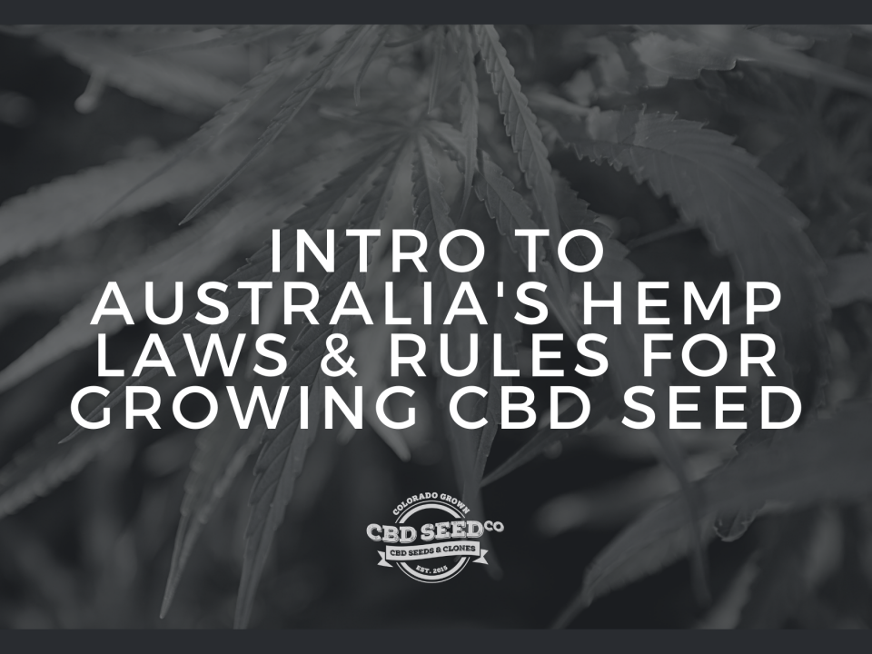 australia hemp laws rules growing cbd seed