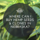 buy hemp seeds clones nebraska