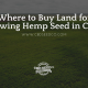 buy land growing hemp seed chile