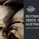 buying hemp seed australia