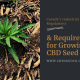 canadaindustrial hemp requirements growing cbd seed