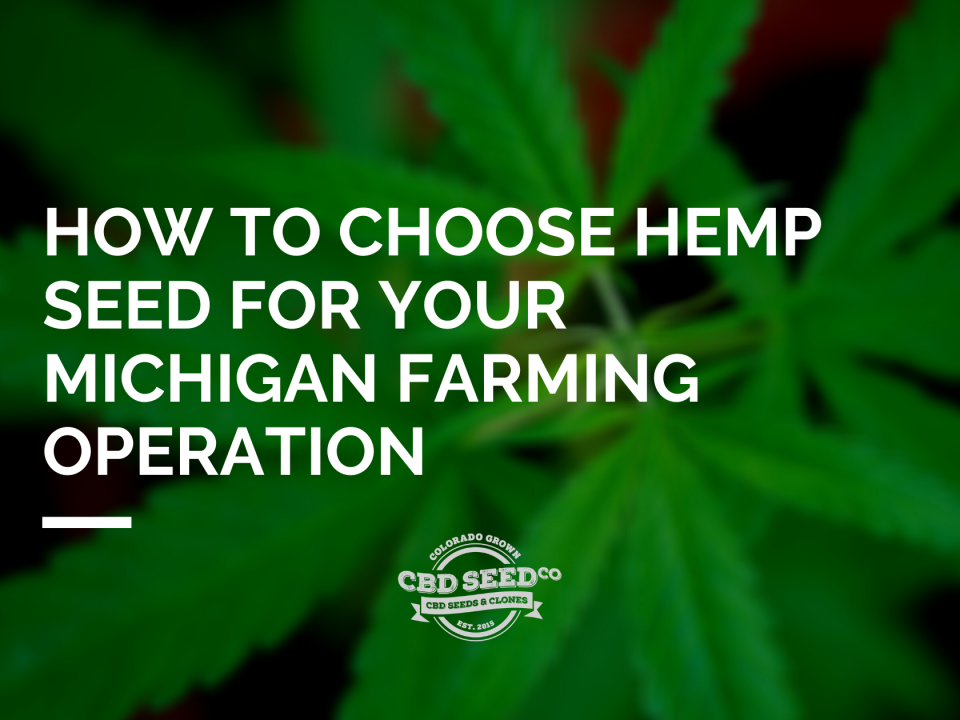 choose hemp seed michigan farm