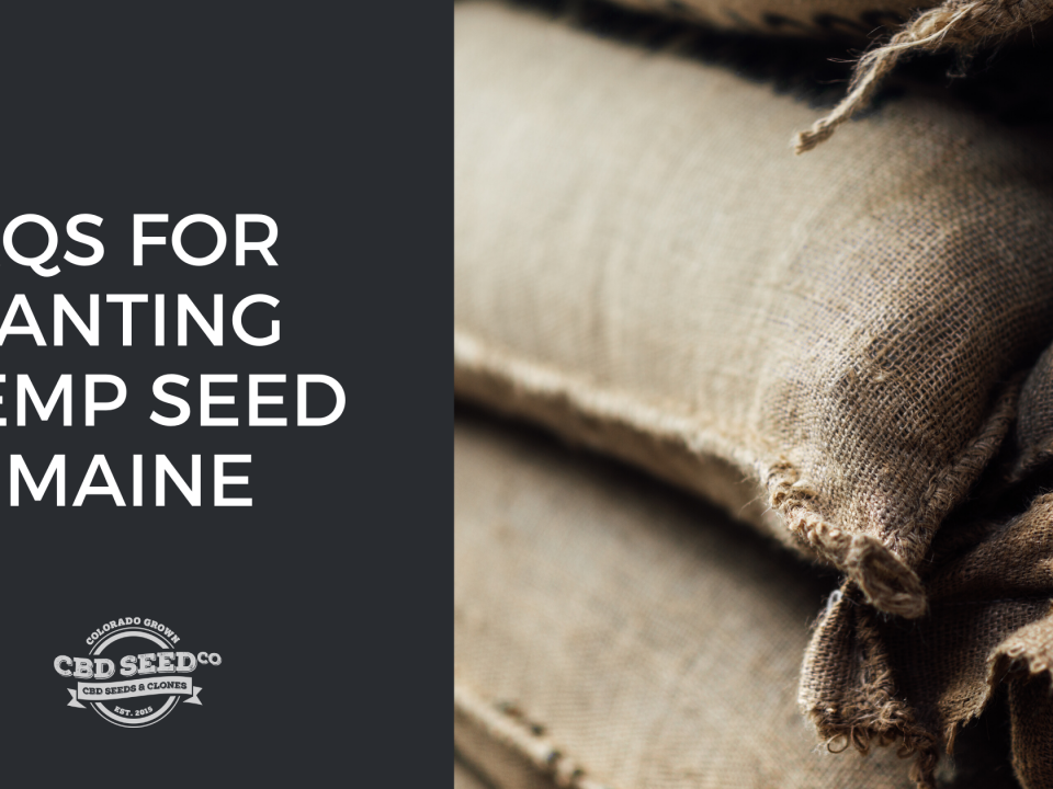 faqs planting hemp seed maine