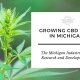 growing cbd hemp seed michigan laws