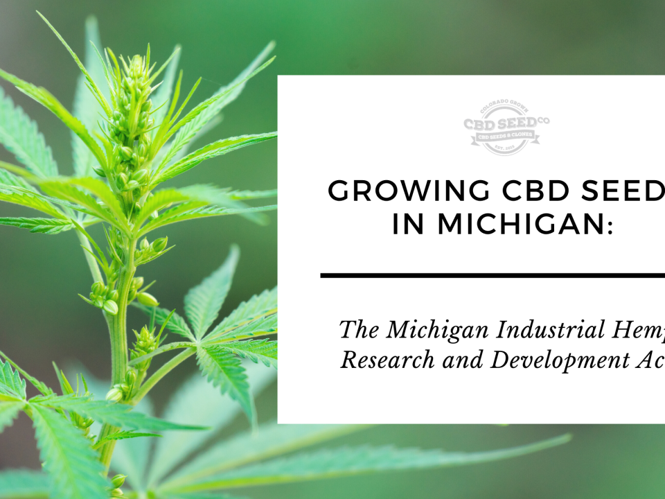 growing cbd hemp seed michigan laws