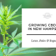 growing cbd hemp seed new hampshire