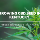 growing cbd seed kentucky hemp pilot program