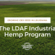 growing cbd seed louisiana hemp program