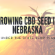 growing cbd seed nebraska state hemp plan