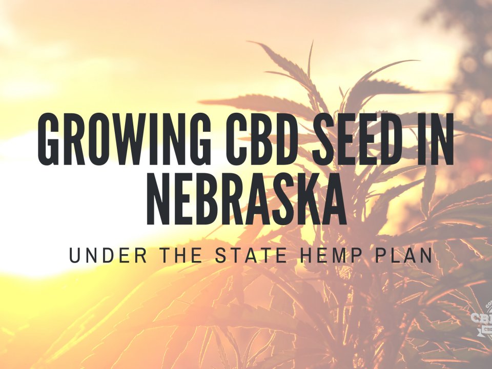 growing cbd seed nebraska state hemp plan