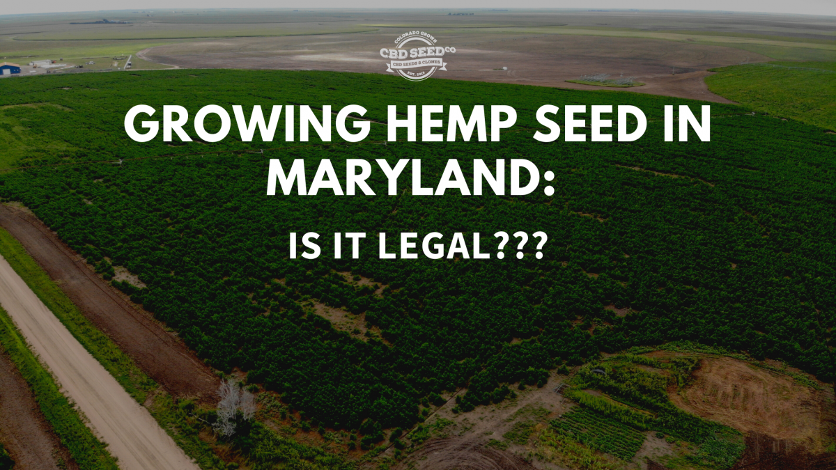 growing hemp seed maryland legal