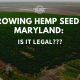 growing hemp seed maryland legal