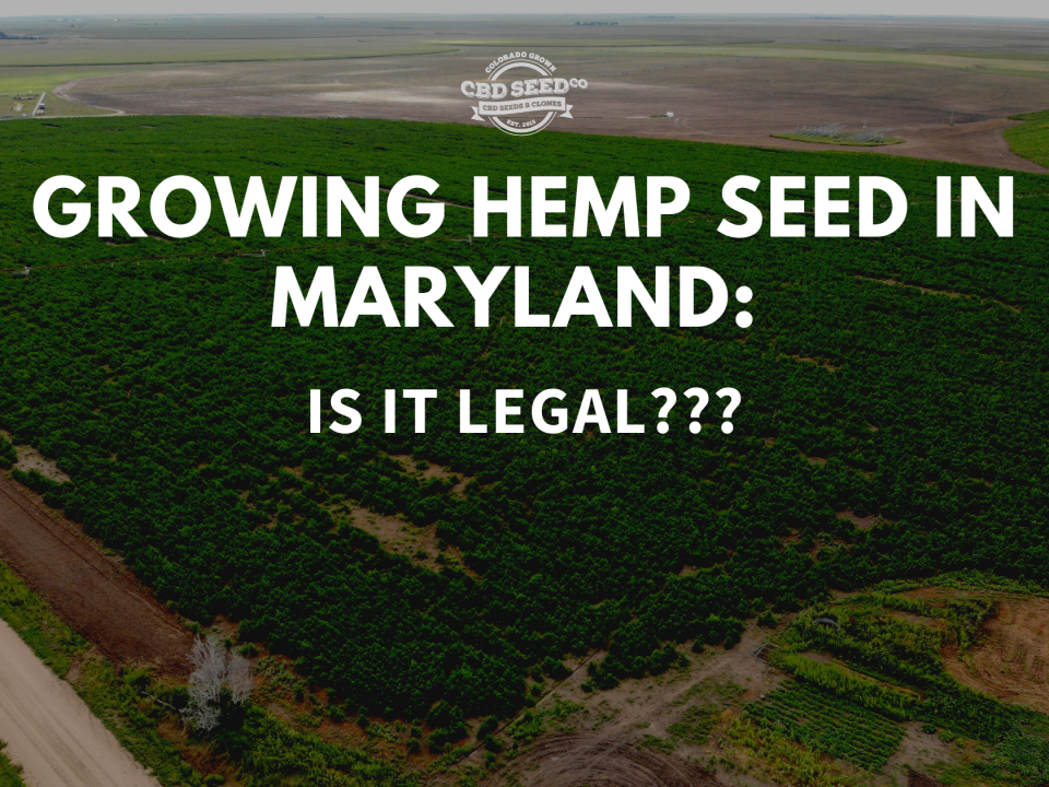 growing hemp seed maryland legal