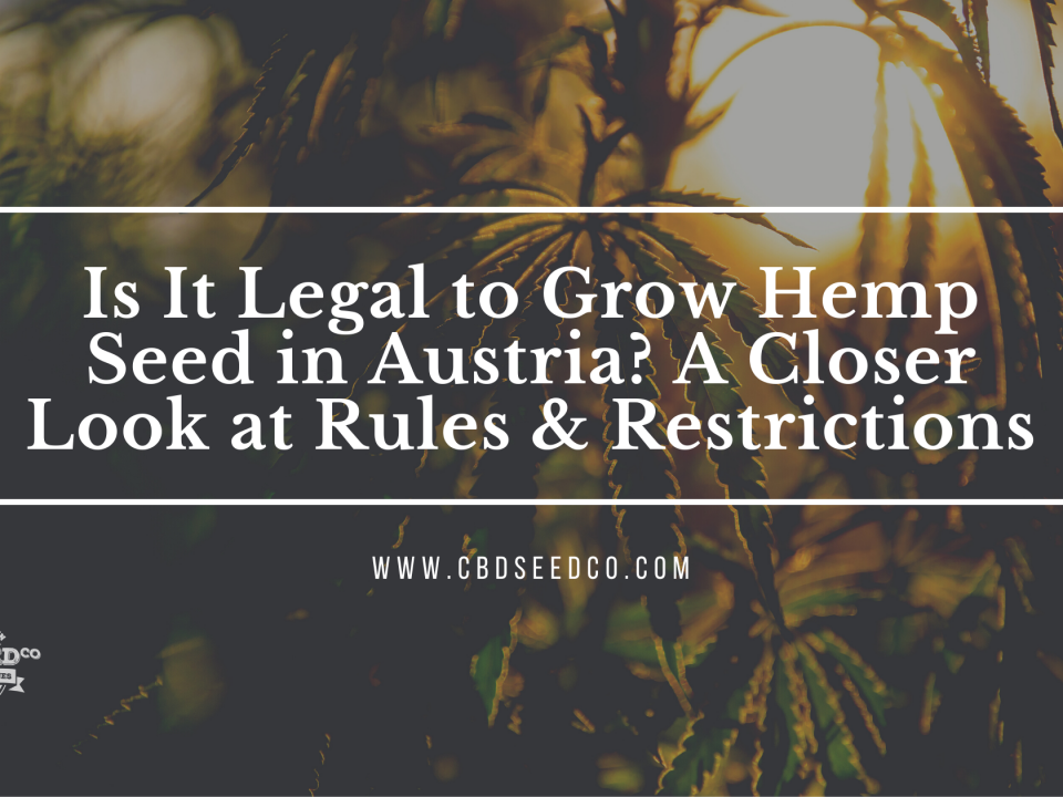 legal grow hemp seed austria