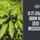 legal grow hemp seed mississippi