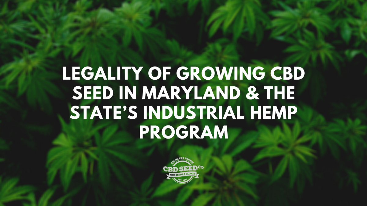 legality growing cbd seed maryland hemp program