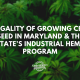 legality growing cbd seed maryland hemp program