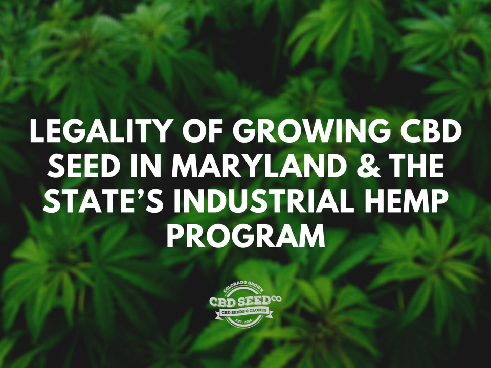 legality growing cbd seed maryland hemp program