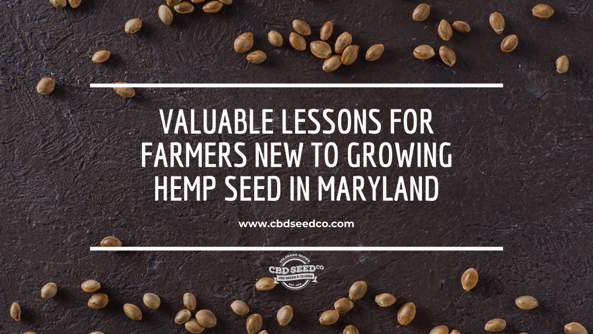 lessons growing hemp seed maryland