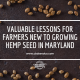 lessons growing hemp seed maryland