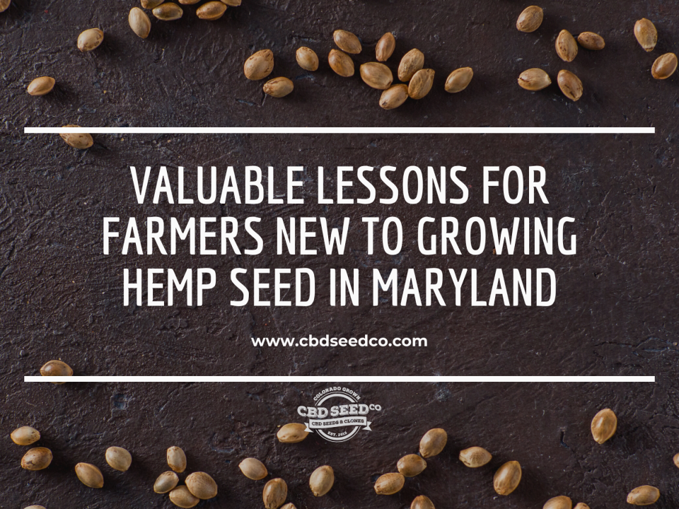 lessons growing hemp seed maryland