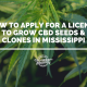 license cbd seed hemp mississippi