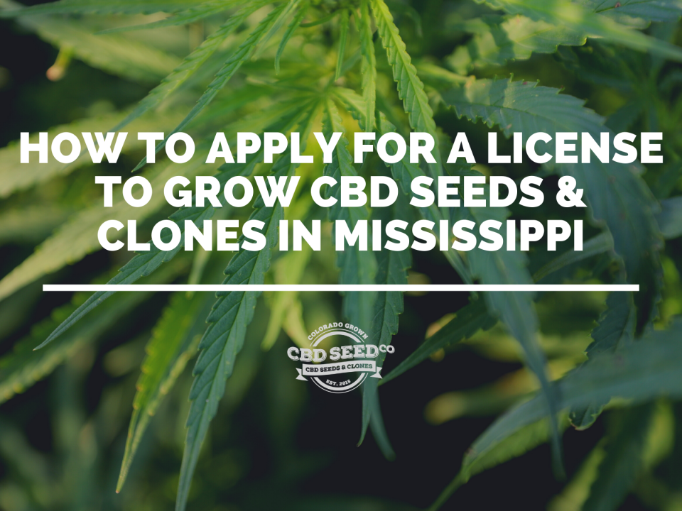 license cbd seed hemp mississippi