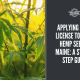 license grow hemp seed maine