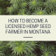 licensed hemp seed farmer montana