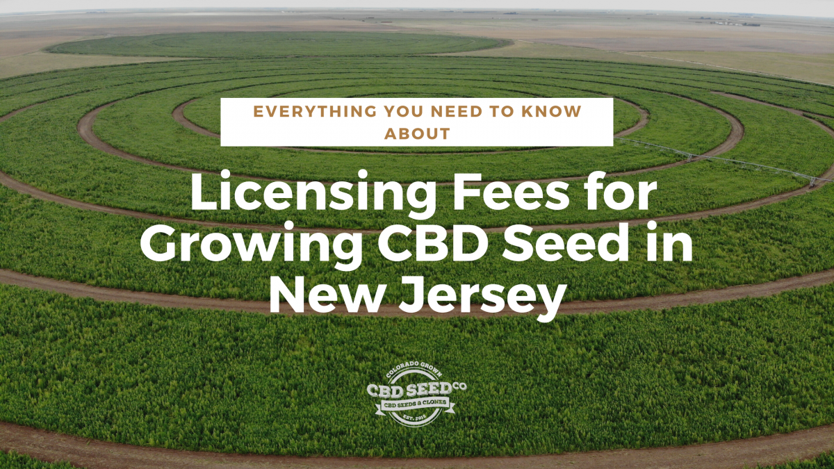 licensing fees growing cbd seed new jersey