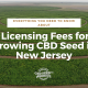 licensing fees growing cbd seed new jersey