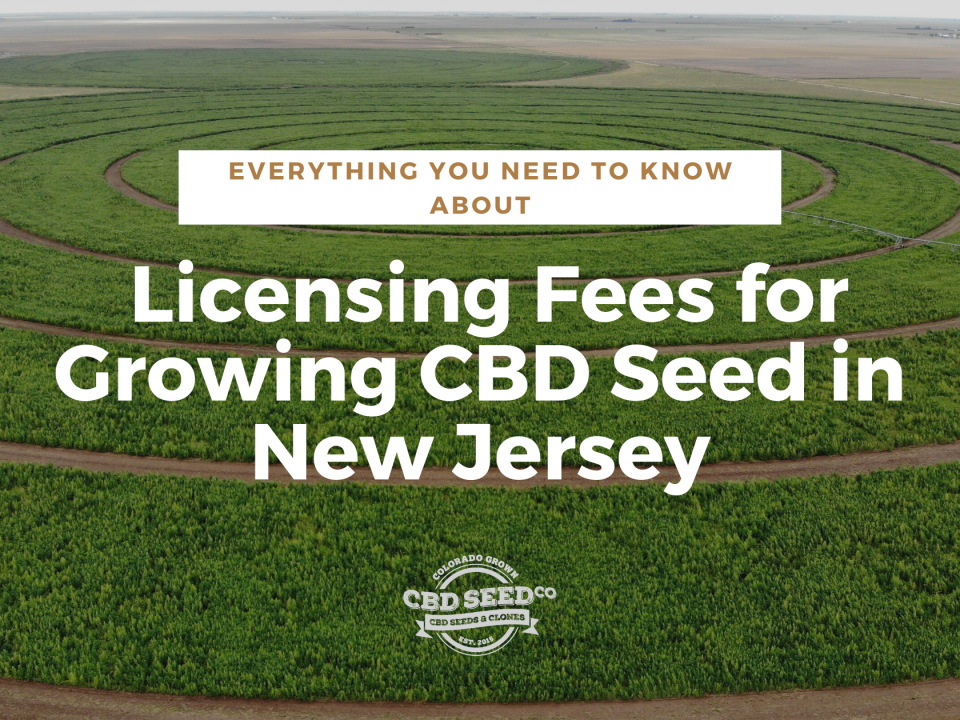 licensing fees growing cbd seed new jersey