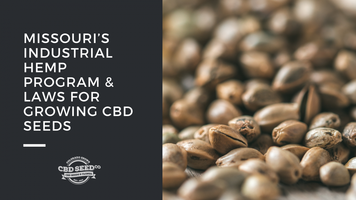 missouri hemp program growing cbd seed