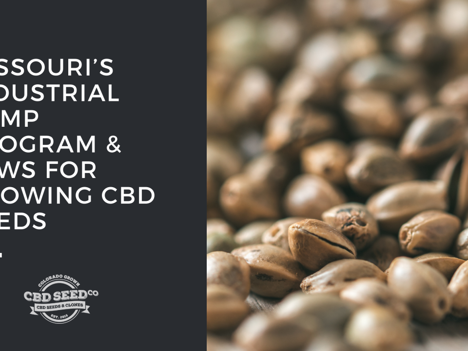 missouri hemp program growing cbd seed