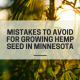 mistakes growing cbd hemp seed minnesota