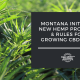 montana hemp program cbd seed
