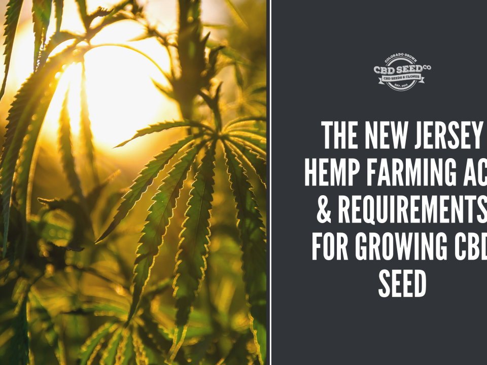 new jersey hemp farming act growing cbd seed