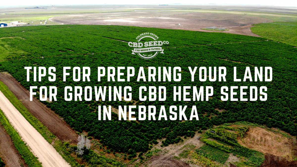 tips for growing cbd hemp seed in nebraska