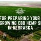 tips for growing cbd hemp seed in nebraska