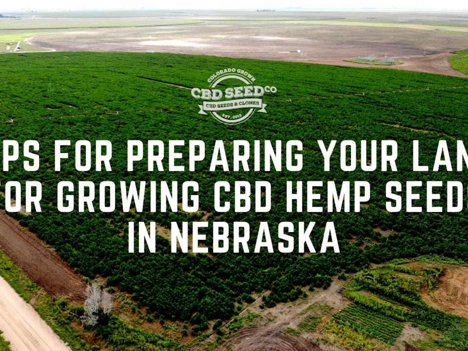 tips for growing cbd hemp seed in nebraska