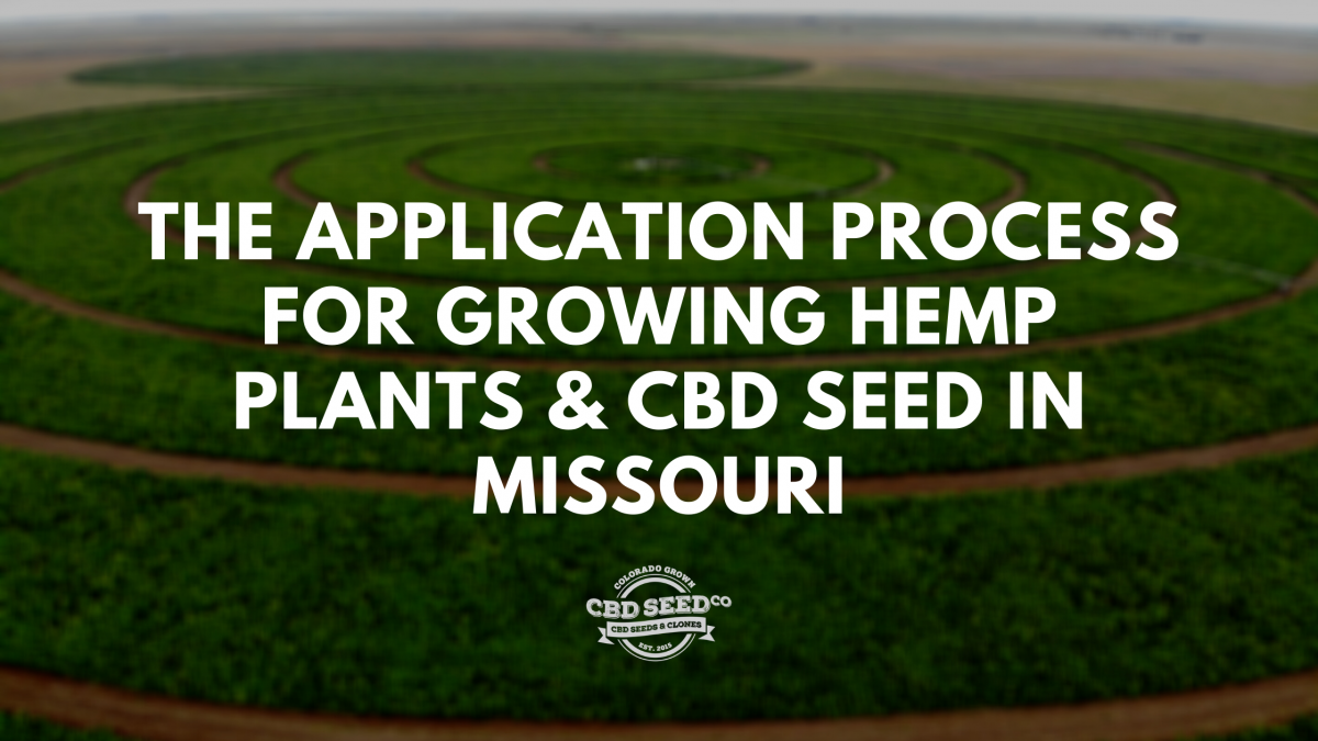 application process growing hemp cbd seed missouri