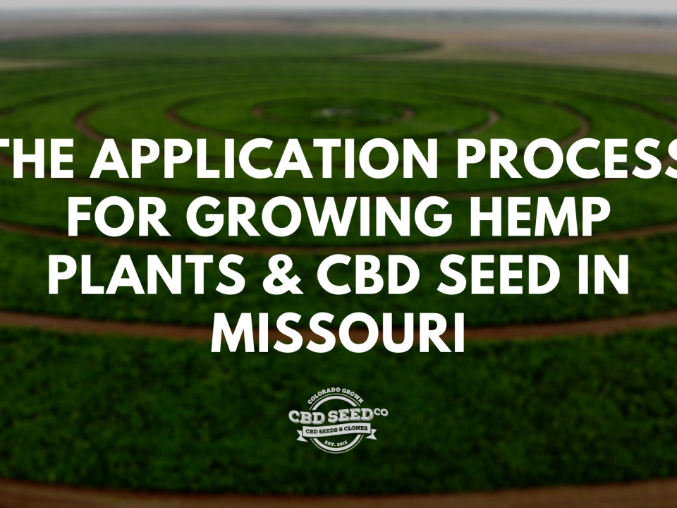application process growing hemp cbd seed missouri