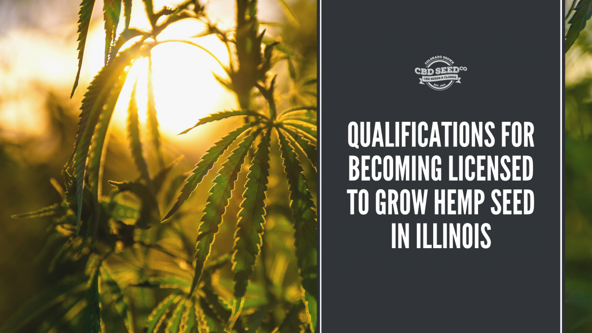 qualifications license grow hemp seed illinois